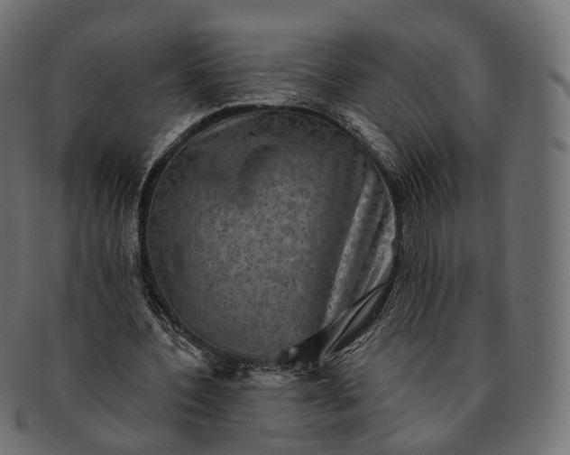 X0000091890532200709191219