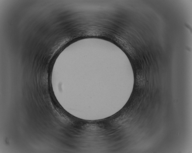 X0000091890534200709191219