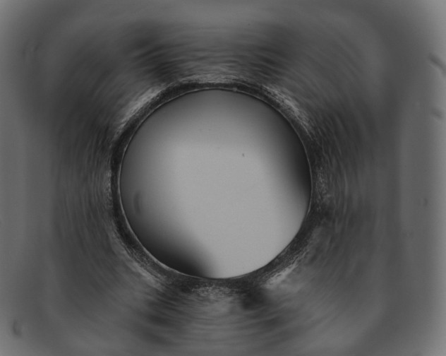 X0000091890535200709191219