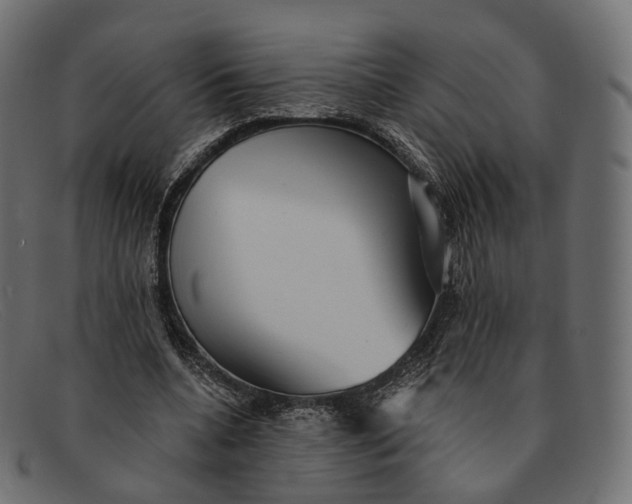 X0000091890536200709191219