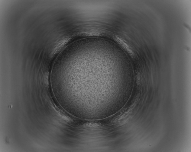 X0000091890537200709191219