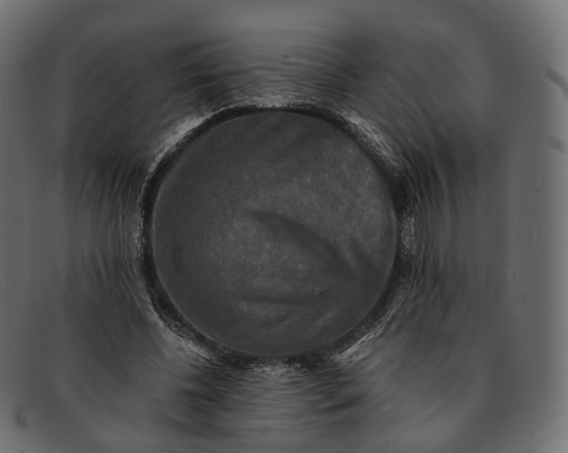 X0000091890540200709191219