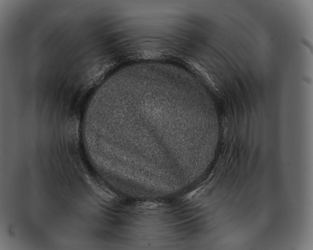 X0000091890542200709191219