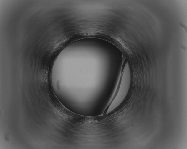 X0000091890543200709191219