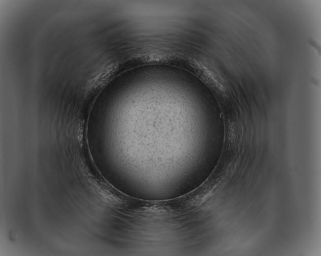 X0000091890545200709191219