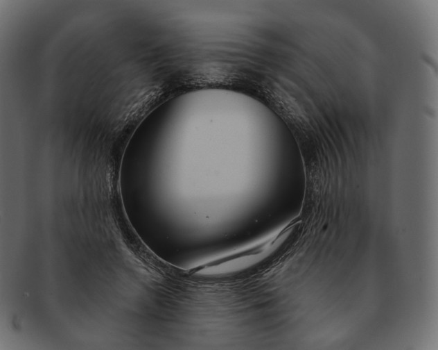 X0000091890546200709191219