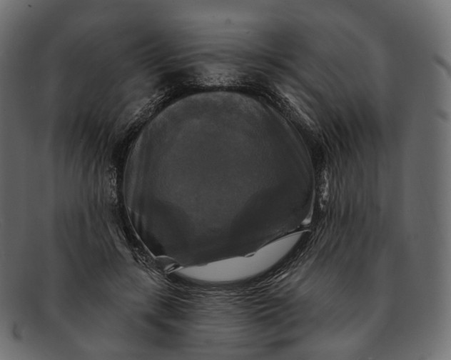X0000091890547200709191219