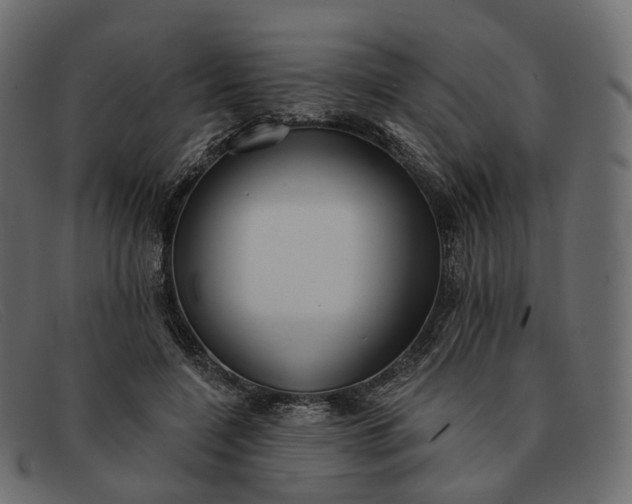 X0000091890548200709191219