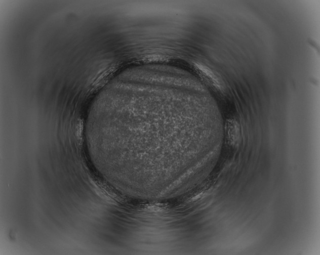 X0000091890550200709191219