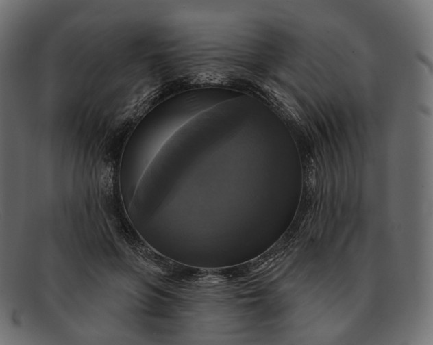 X0000091890551200709191219