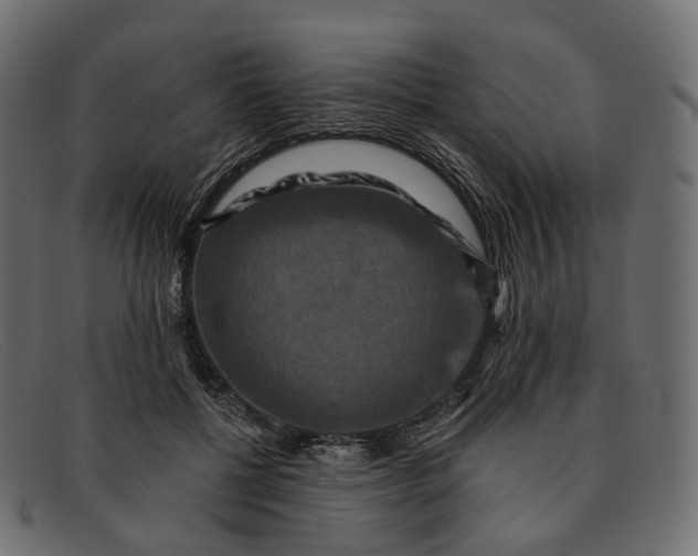 X0000091890552200709191219