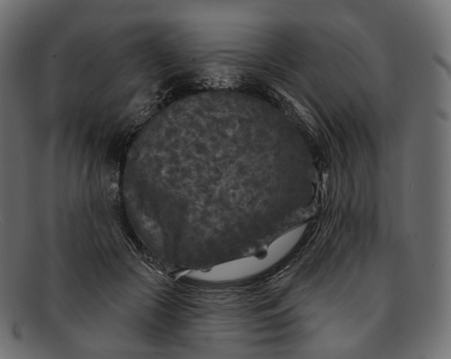 X0000091890553200709191219