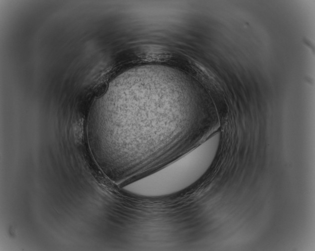 X0000091890554200709191219