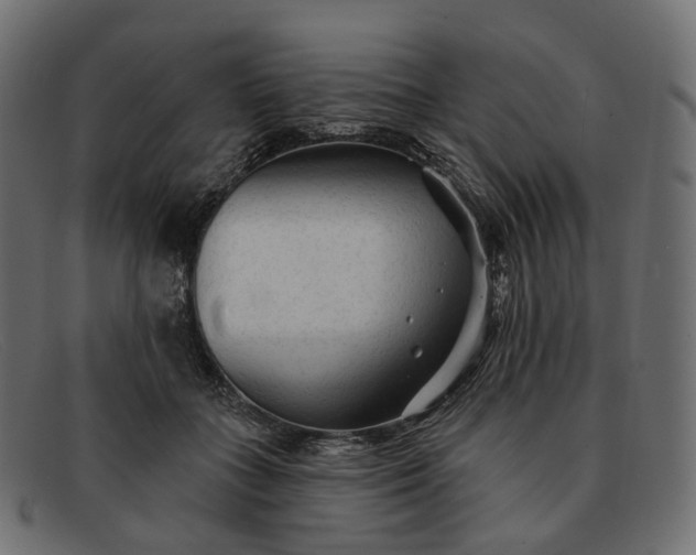 X0000091890555200709191219