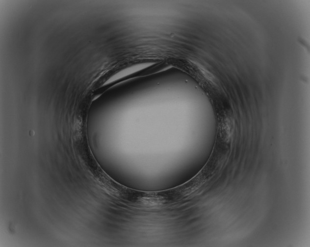 X0000091890556200709191219