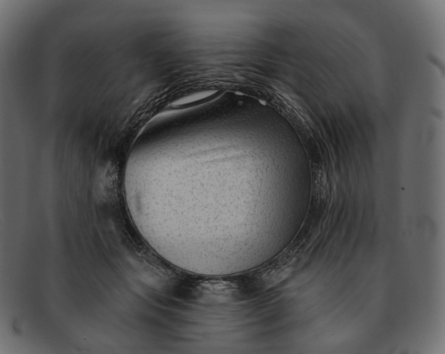 X0000091890557200709191219