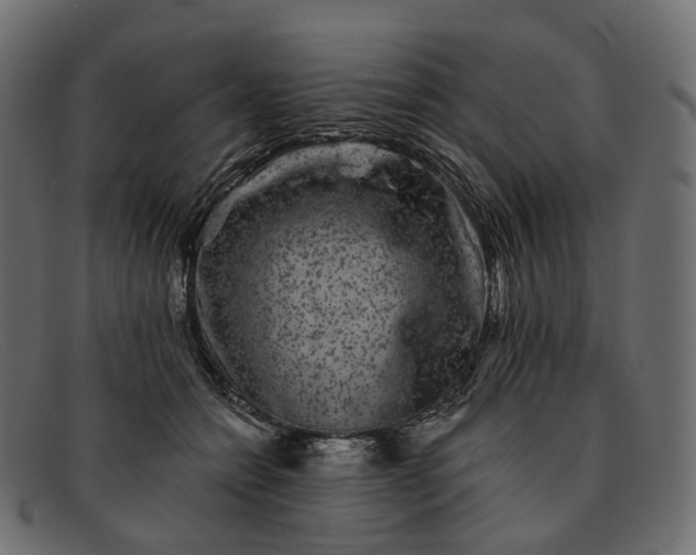 X0000091890558200709191219