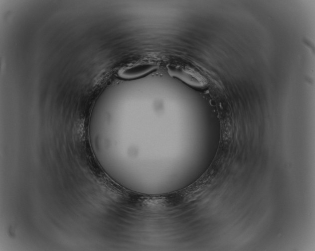 X0000091890560200709191219