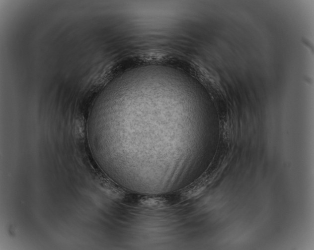 X0000091890561200709191220