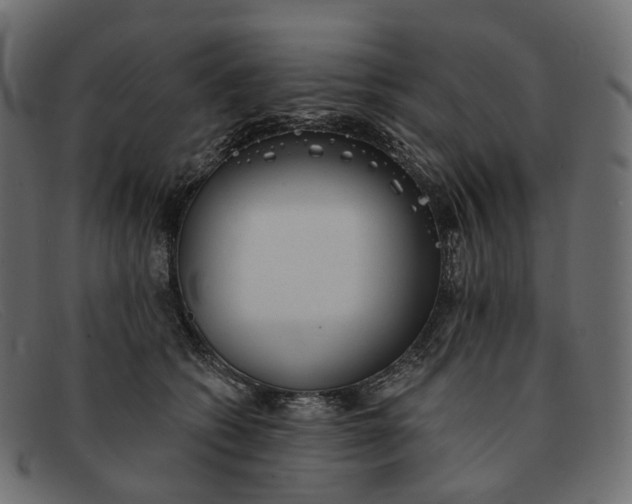 X0000091890562200709191220