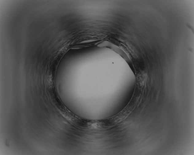X0000091890564200709191220