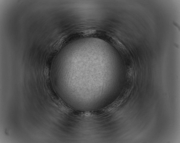 X0000091890565200709191220