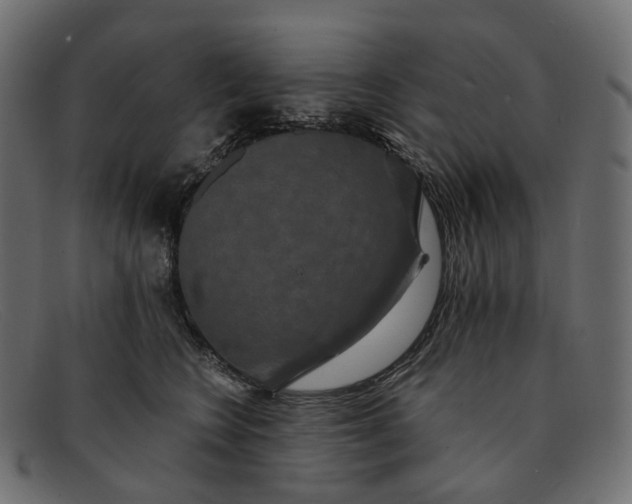 X0000091890566200709191220