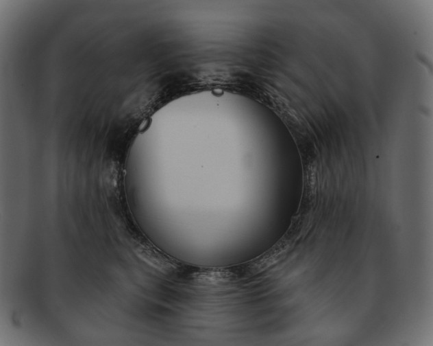 X0000091890567200709191220