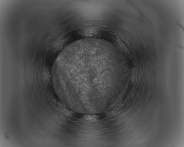 X0000091890569200709191220