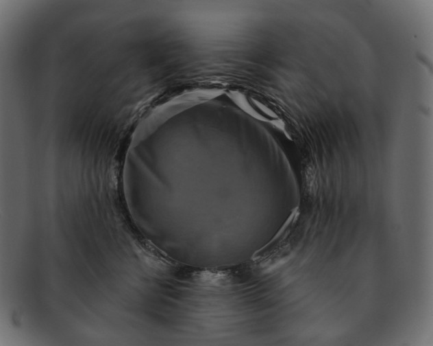 X0000091890570200709191220