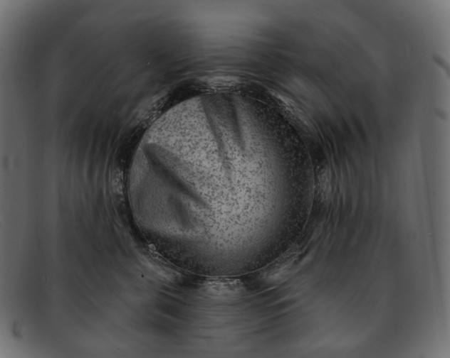 X0000091890571200709191220