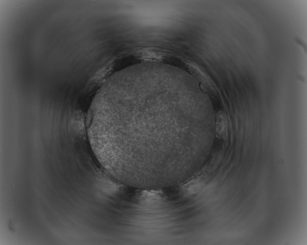 X0000091890573200709191220