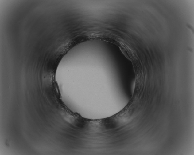 X0000091890574200709191220