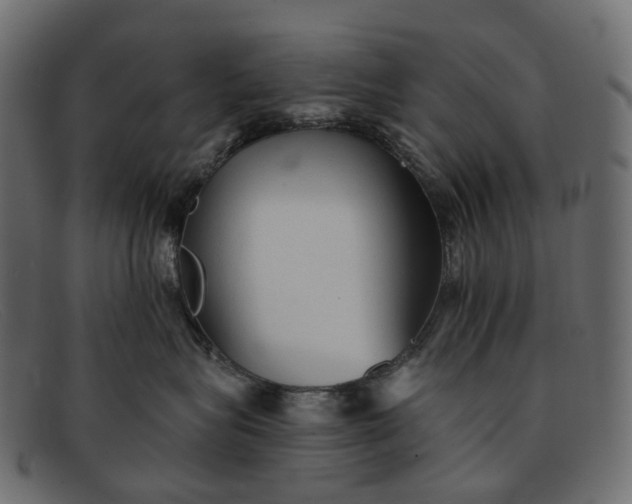 X0000091890575200709191220
