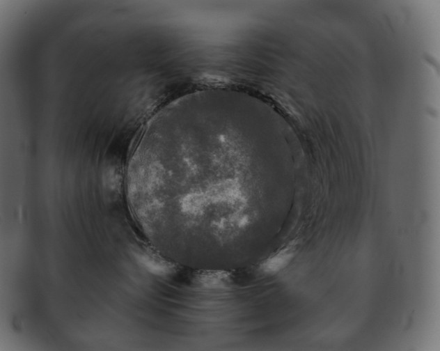 X0000091890576200709191220
