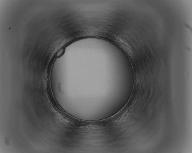 X0000091890578200709191219