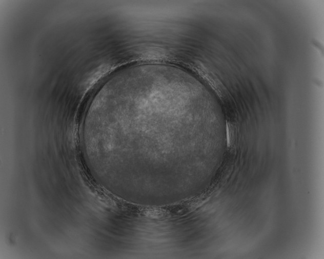X0000091890579200709191219