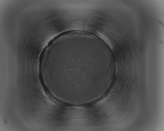 X0000091890580200709191219