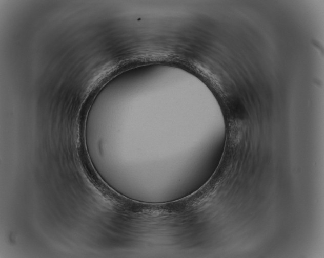 X0000091890582200709191219