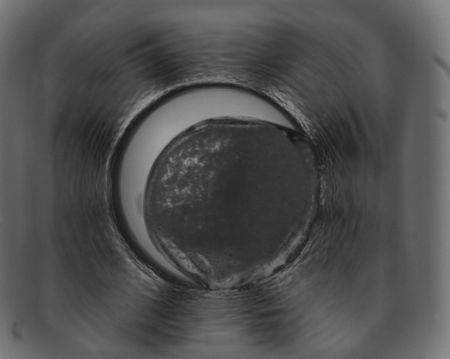 X0000091890584200709191219