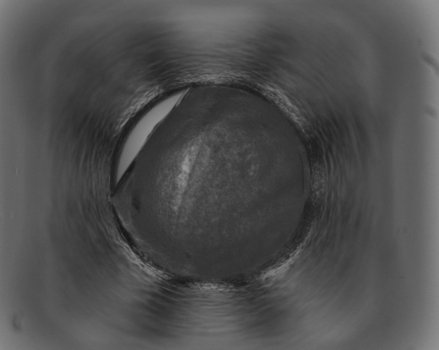 X0000091890585200709191219