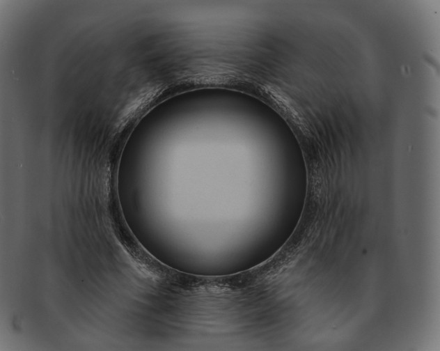 X0000091890586200709191219
