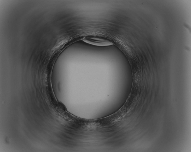X0000091890587200709191219