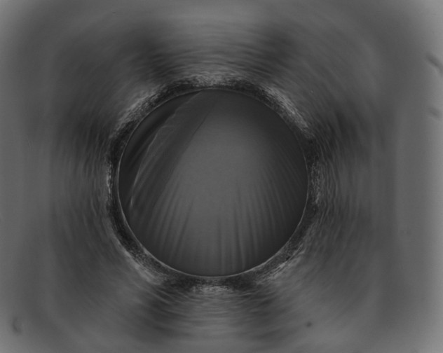 X0000091890590200709191219