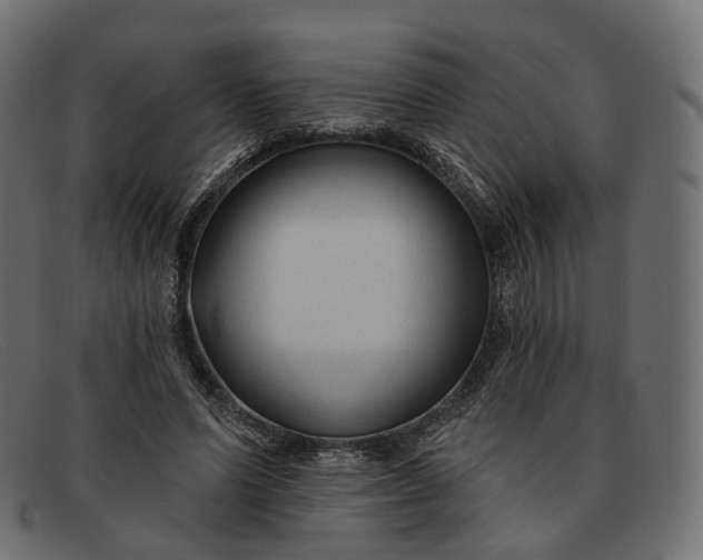 X0000091890591200709191219