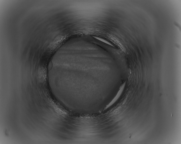 X0000091890593200709191219
