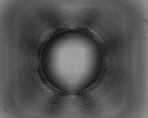 X0000091890594200709191219