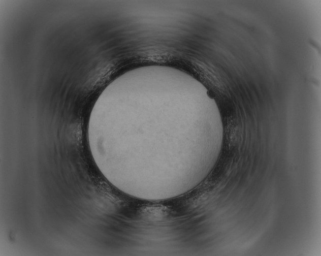 X0000091890595200709191219