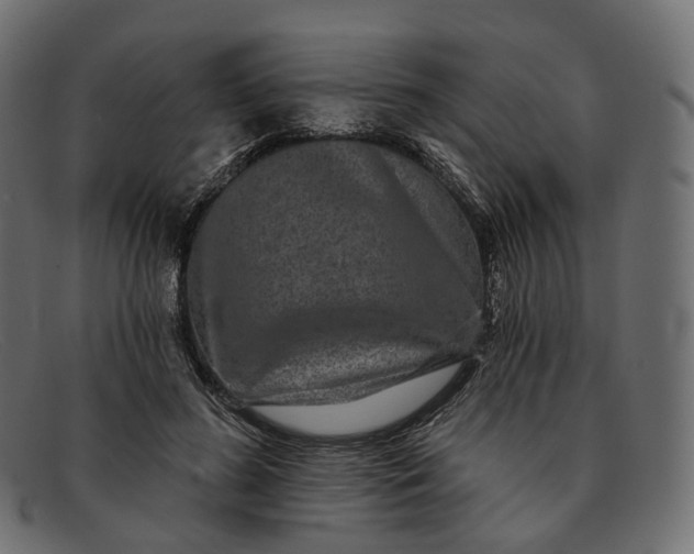 X0000091890596200709191219