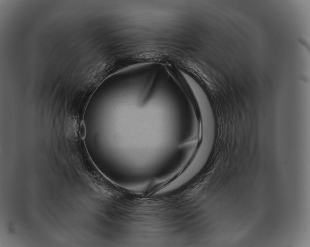 X0000091890597200709191219